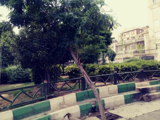 عکس بوستان دربند