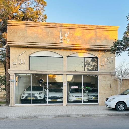 عکس نمايشگاه اتومبيل و املاك پويا