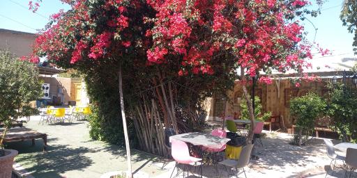 عکس رستوران بوستان خورشید