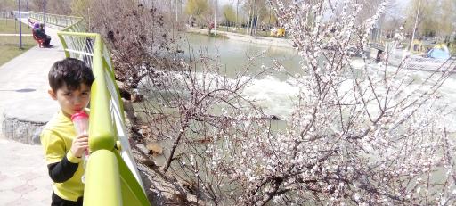 عکس پارک ساحلی ورنامخواست