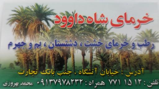 عکس خرمای شاه داوود