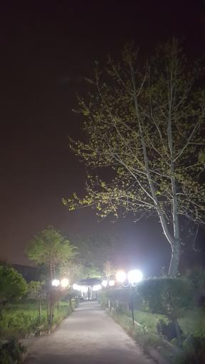 عکس بهشت وادی نور