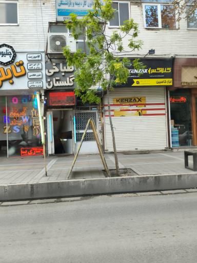 عکس طباخی گلستان 