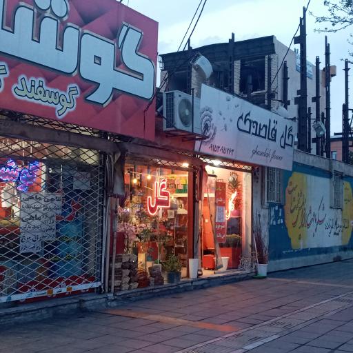 عکس گل قاصدک