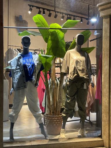 عکس بوتیک توییست