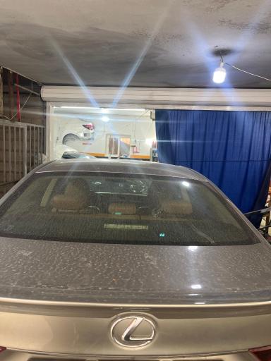 عکس صافکاری نیری