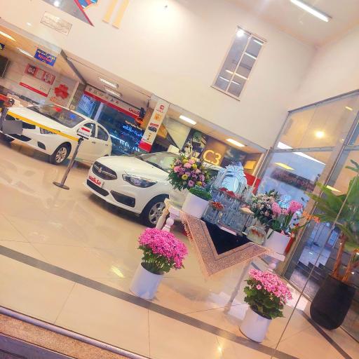 عکس نمایندگی سایپا بزرگ روشن