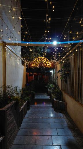 عکس جگرپاچین کوثر