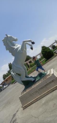 عکس پارک ولایت ملایر