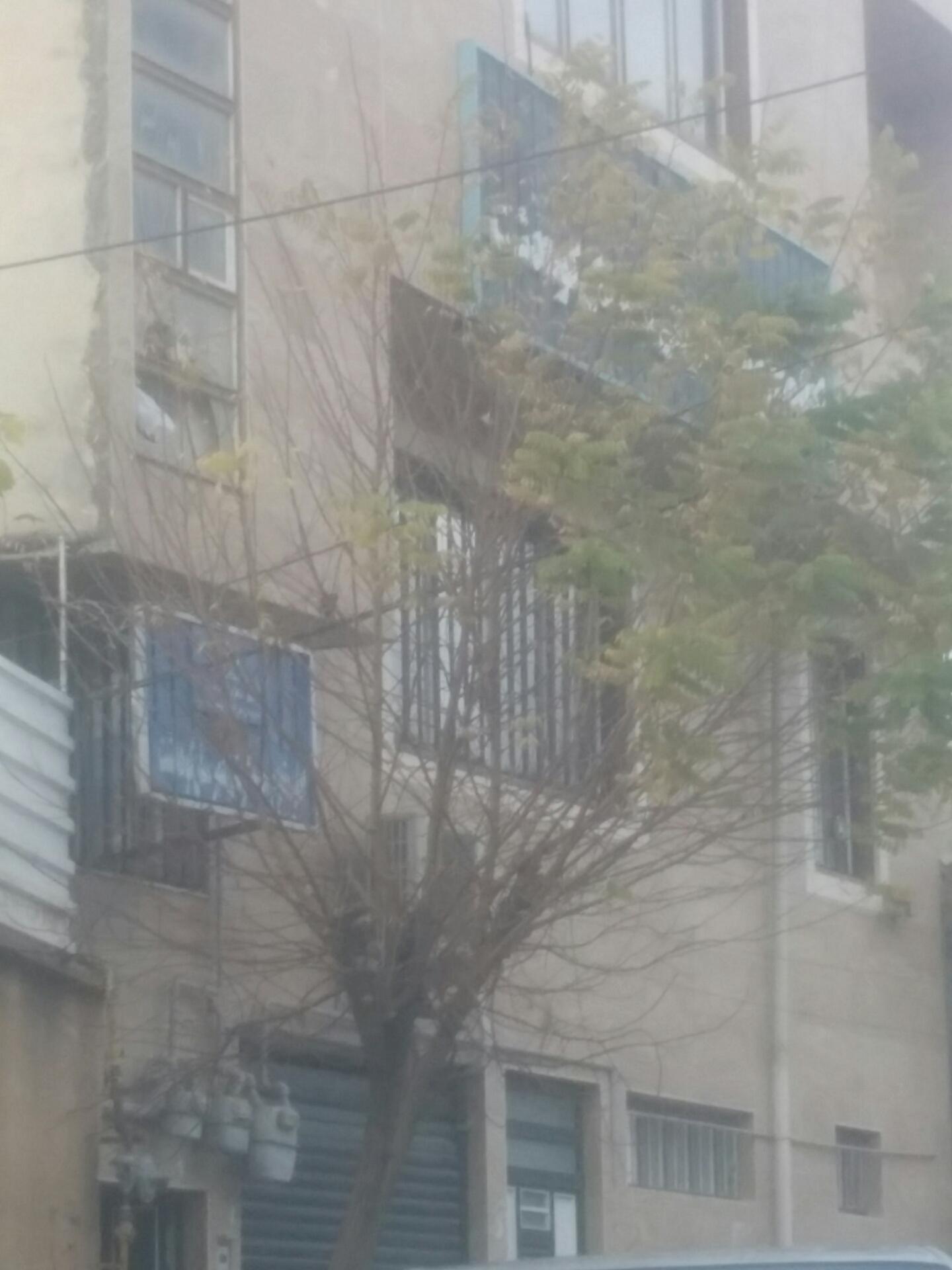 عکس تعزیرات حکومتی شهرستان کوهدشت