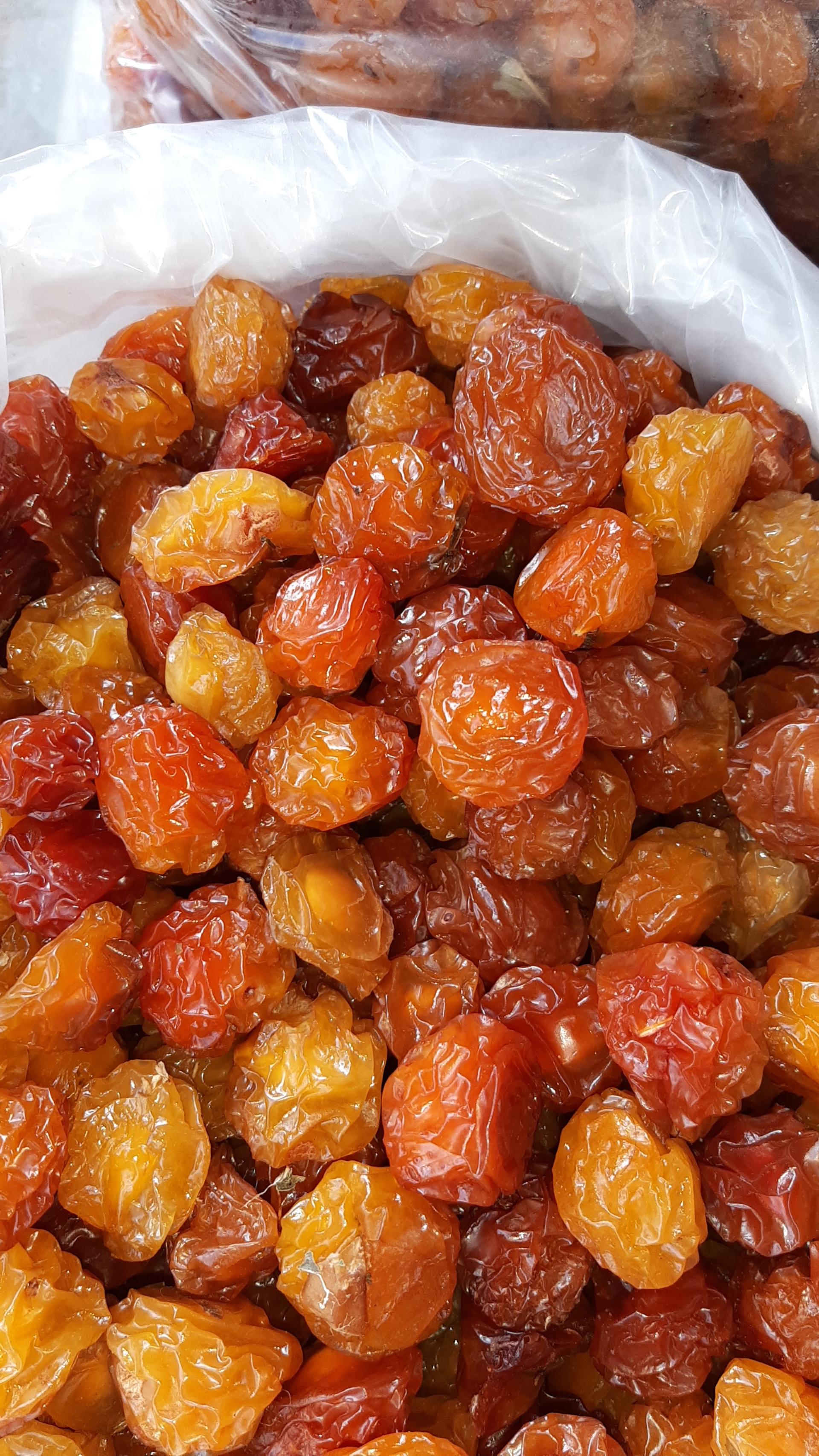 عکس خشکبار یزدی 