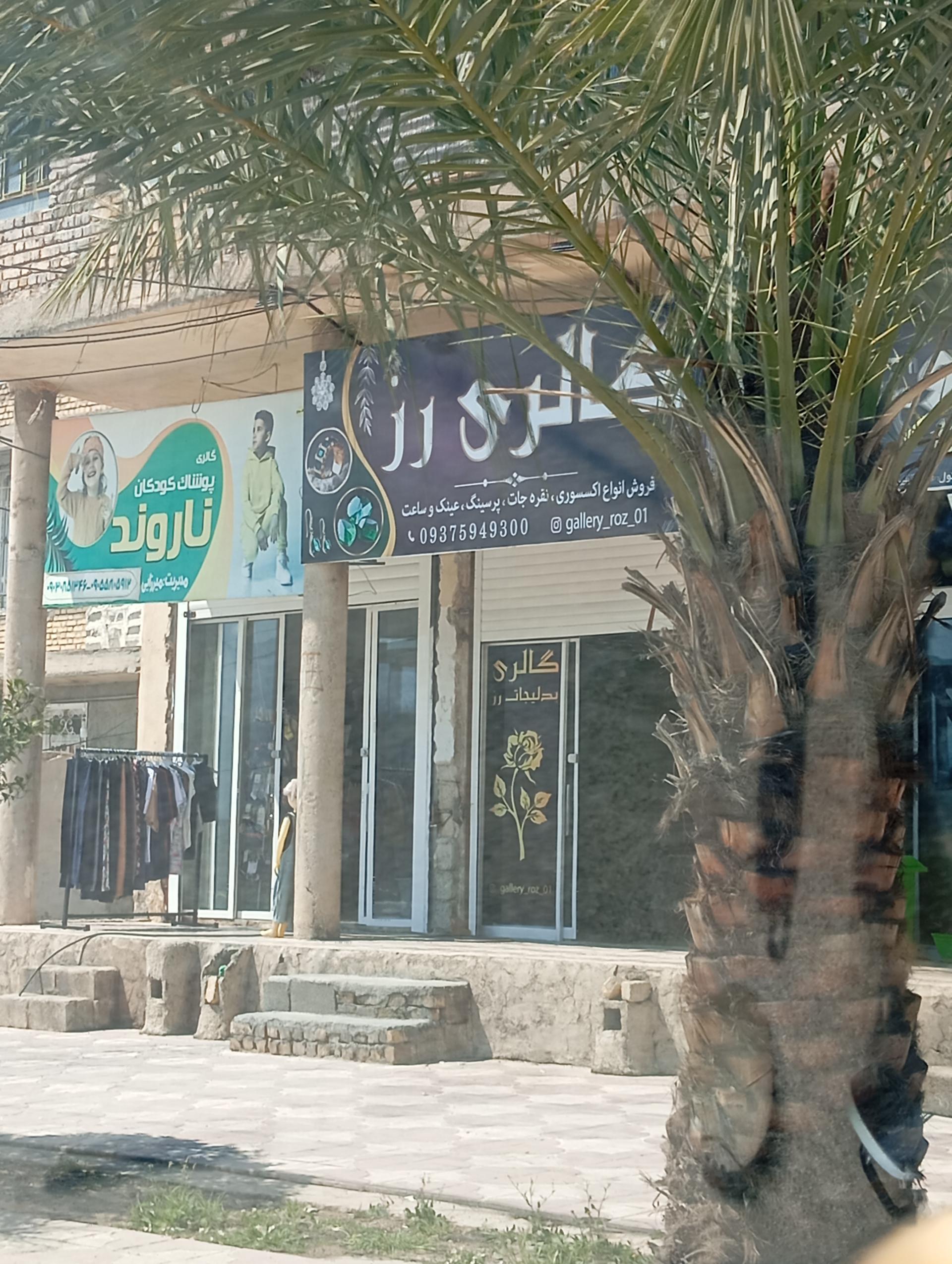 عکس گالری رز