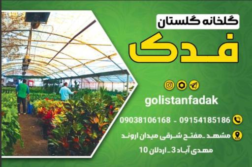 عکس گلخانه گلستان فدک 