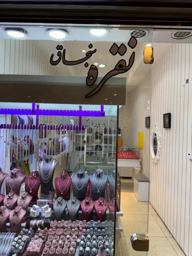 عکس نقره سنجاق