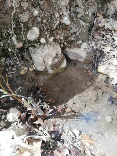 عکس چشمه تنگ گنجه یاسوج