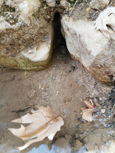 عکس چشمه تنگ گنجه یاسوج