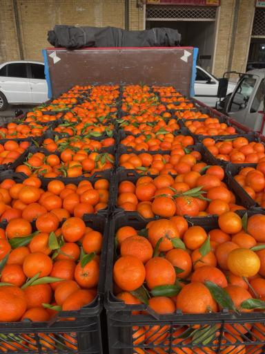 عکس بار فروشی مرتضی حیدری