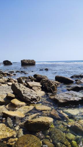 عکس ساحل زیبای کنارک