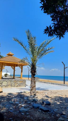 عکس ساحل زیبای کنارک