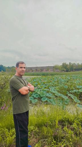 عکس پارک مسافر شهرداری