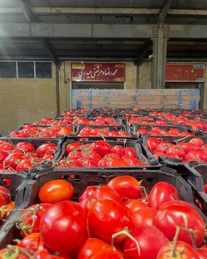 عکس بار فروشی مرتضی حیدری