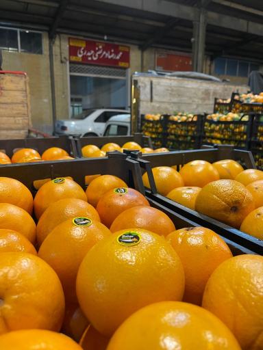 عکس بار فروشی مرتضی حیدری