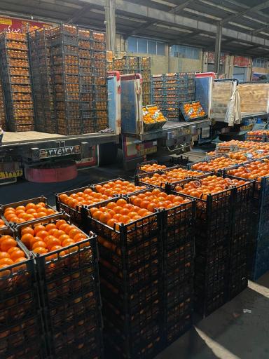 عکس بار فروشی مرتضی حیدری