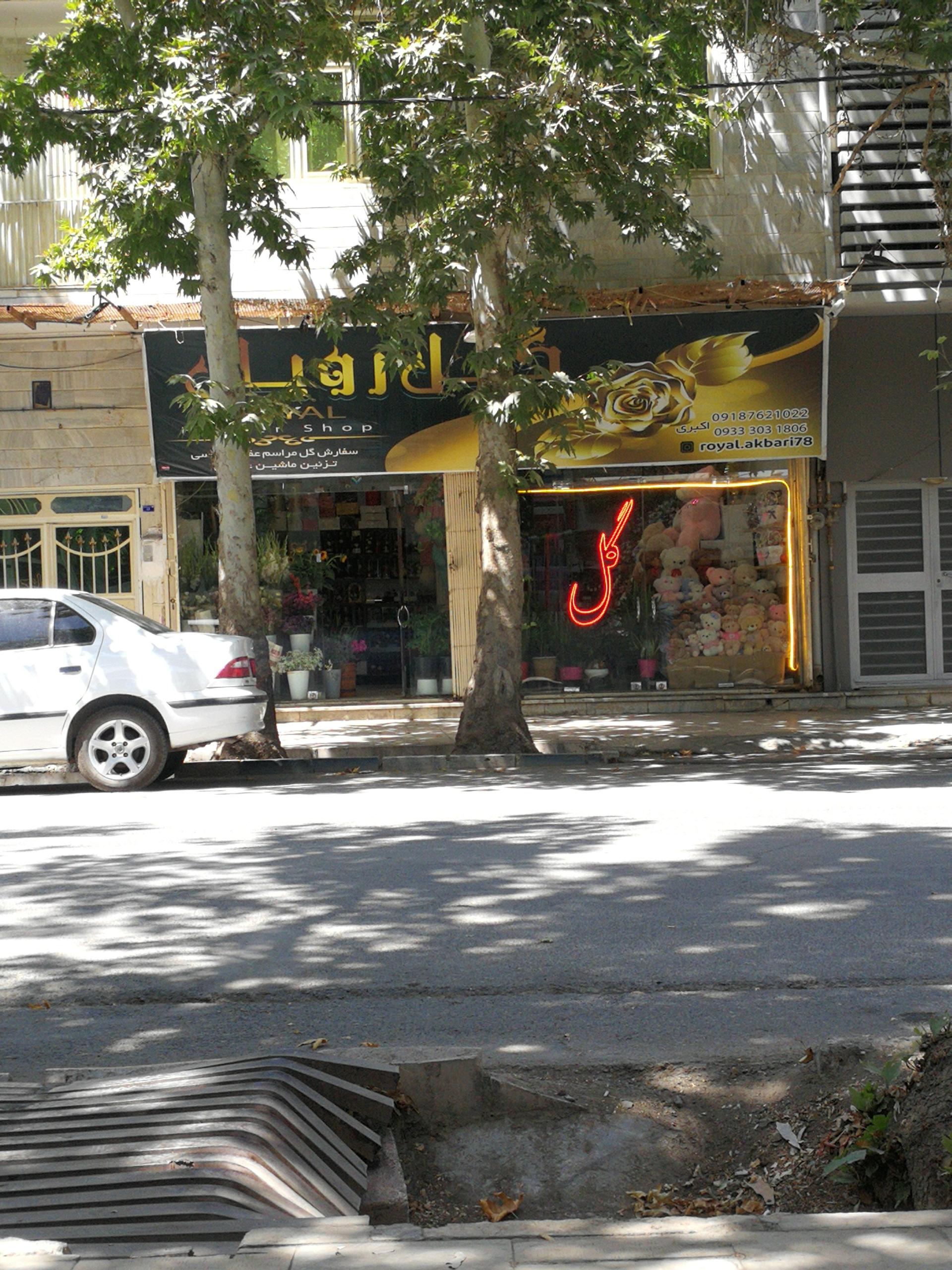 عکس گل رویال