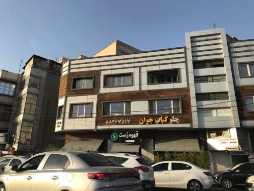 عکس چلوکباب جوان