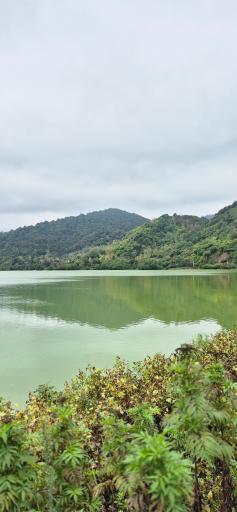 عکس تالاب استیل