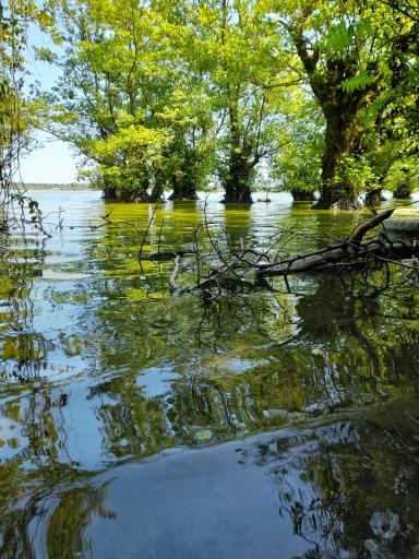 عکس تالاب استیل