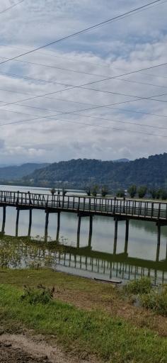 عکس تالاب استیل