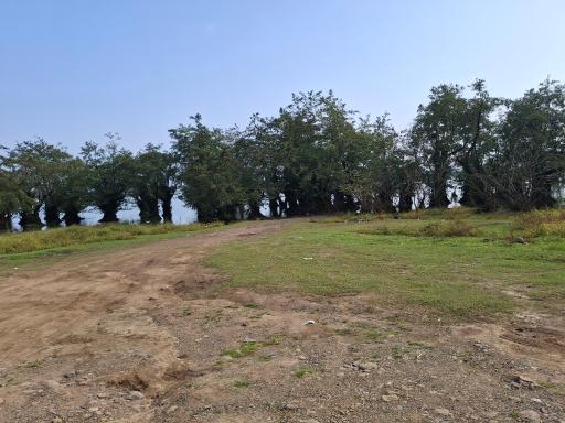 عکس تالاب استیل