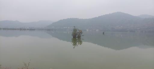 عکس تالاب استیل