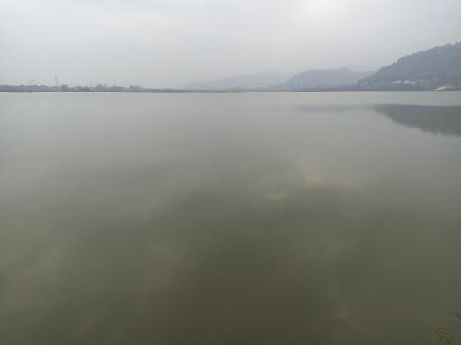 عکس تالاب استیل