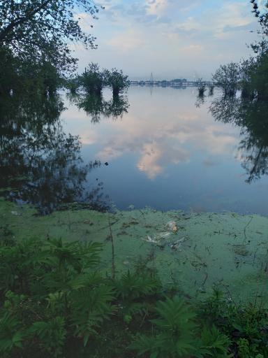 عکس تالاب استیل