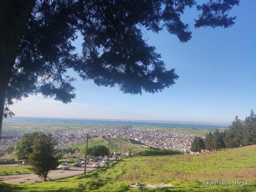 عکس پارک و تفرجگاه زیتون تپه آزادشهر