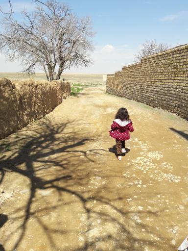عکس بغدادی