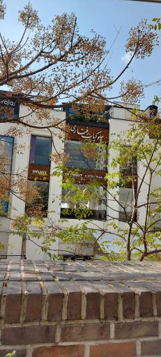 عکس چلوکباب رفتاری