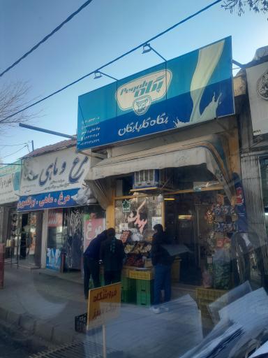 عکس سوپرمارکت برگ سبز