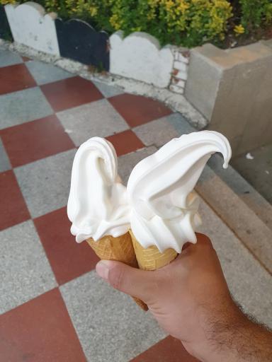 عکس بستنی شقایق