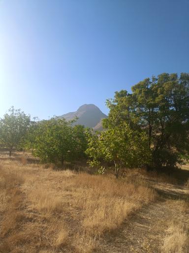 عکس گوشه علیا