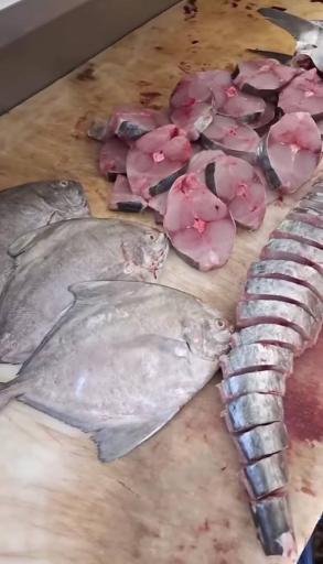 عکس مرغ و ماهی نقش جهان