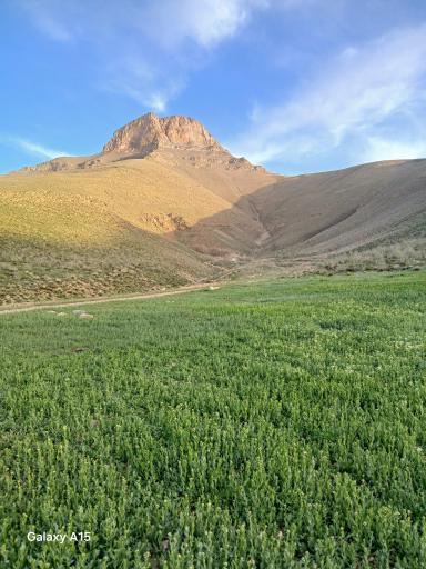 عکس گوشه علیا