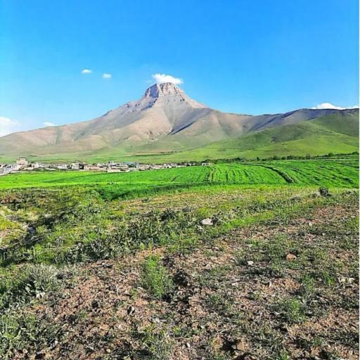 عکس گوشه علیا