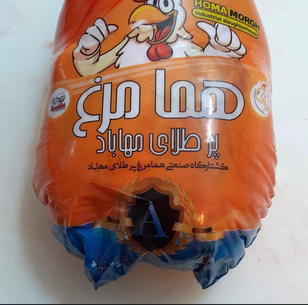 عکس سوپر پروتئین بعثت 