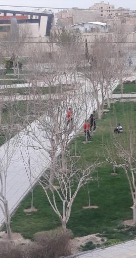 عکس بوستان فدک