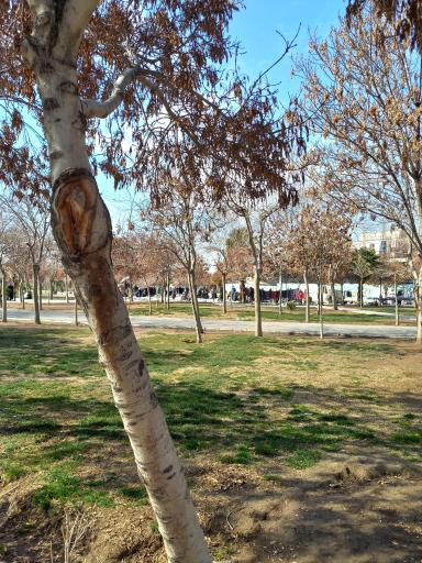 عکس بوستان فدک