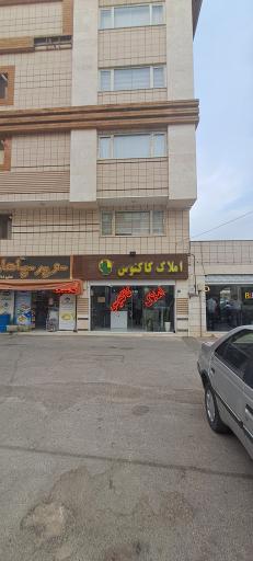 املاک کاکتوس