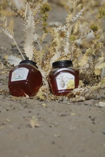 عکس فروشگاه آقای عسل